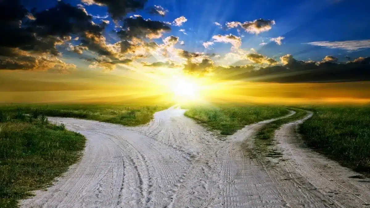 Liberdade de Escolha