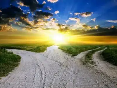 Liberdade de Escolha