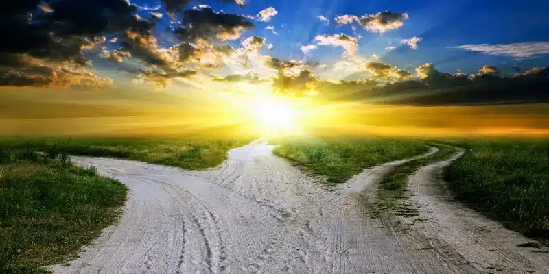 Liberdade de Escolha